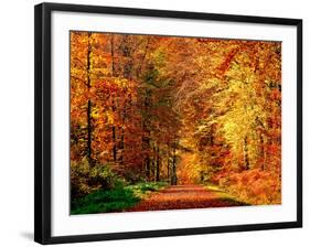 Autumn Way-Philippe Sainte-Laudy-Framed Premium Photographic Print