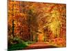 Autumn Way-Philippe Sainte-Laudy-Mounted Premium Photographic Print