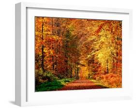 Autumn Way-Philippe Sainte-Laudy-Framed Photographic Print