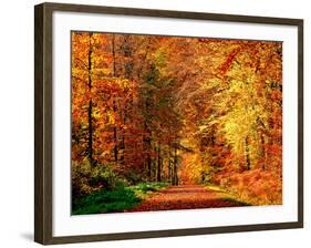 Autumn Way-Philippe Sainte-Laudy-Framed Photographic Print