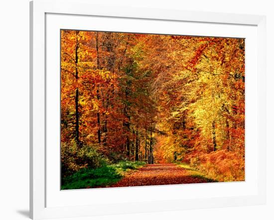 Autumn Way-Philippe Sainte-Laudy-Framed Photographic Print