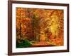 Autumn Way-Philippe Sainte-Laudy-Framed Photographic Print