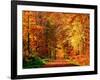 Autumn Way-Philippe Sainte-Laudy-Framed Photographic Print