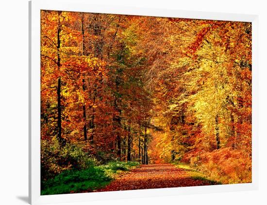 Autumn Way-Philippe Sainte-Laudy-Framed Photographic Print