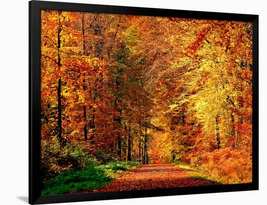 Autumn Way-Philippe Sainte-Laudy-Framed Photographic Print