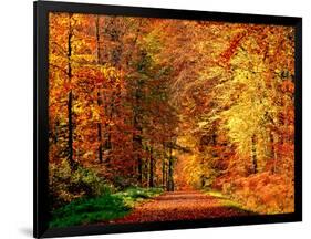 Autumn Way-Philippe Sainte-Laudy-Framed Photographic Print