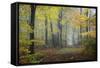 Autumn Way-Philippe Manguin-Framed Stretched Canvas