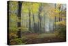 Autumn Way-Philippe Manguin-Stretched Canvas