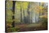 Autumn Way-Philippe Manguin-Stretched Canvas