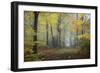 Autumn Way-Philippe Manguin-Framed Photographic Print