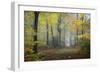 Autumn Way-Philippe Manguin-Framed Photographic Print