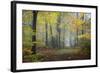 Autumn Way-Philippe Manguin-Framed Photographic Print