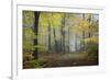 Autumn Way-Philippe Manguin-Framed Photographic Print