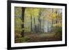 Autumn Way-Philippe Manguin-Framed Photographic Print