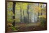 Autumn Way-Philippe Manguin-Framed Photographic Print