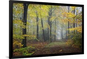 Autumn Way-Philippe Manguin-Framed Photographic Print