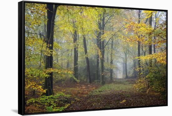 Autumn Way-Philippe Manguin-Framed Stretched Canvas