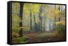 Autumn Way-Philippe Manguin-Framed Stretched Canvas