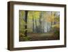 Autumn Way-Philippe Manguin-Framed Photographic Print