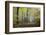 Autumn Way-Philippe Manguin-Framed Photographic Print