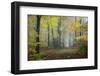 Autumn Way-Philippe Manguin-Framed Photographic Print