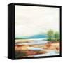 Autumn Wetland-Sue Schlabach-Framed Stretched Canvas