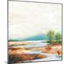 Autumn Wetland-Sue Schlabach-Mounted Art Print