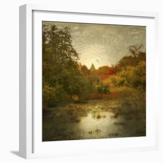 Autumn Wetlands-Jessica Jenney-Framed Giclee Print