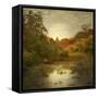 Autumn Wetlands-Jessica Jenney-Framed Stretched Canvas