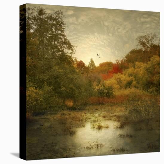 Autumn Wetlands-Jessica Jenney-Stretched Canvas