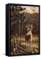 Autumn Whitetail-Wilhelm Goebel-Framed Stretched Canvas