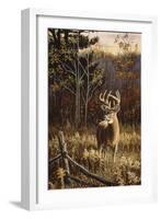 Autumn Whitetail-Wilhelm Goebel-Framed Giclee Print