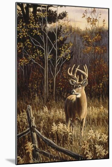 Autumn Whitetail-Wilhelm Goebel-Mounted Giclee Print