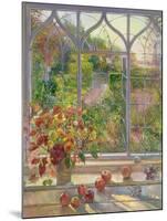 Autumn Windows, 1993-Timothy Easton-Mounted Giclee Print