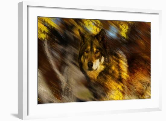 Autumn Wolf-Gordon Semmens-Framed Giclee Print
