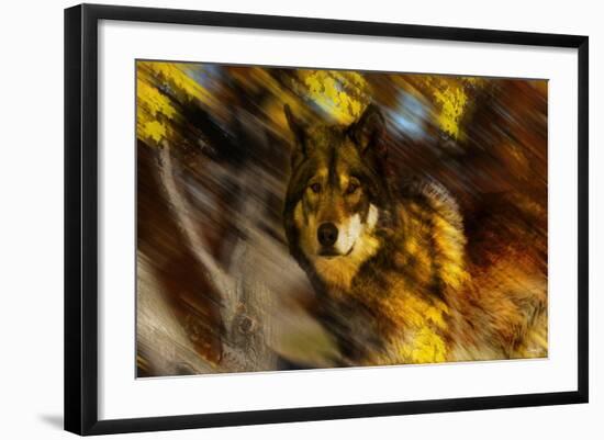 Autumn Wolf-Gordon Semmens-Framed Giclee Print