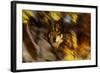 Autumn Wolf-Gordon Semmens-Framed Giclee Print