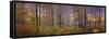 Autumn Wolves-Bill Makinson-Framed Stretched Canvas