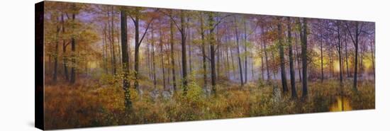 Autumn Wolves-Bill Makinson-Stretched Canvas
