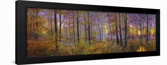 Autumn Wolves-Bill Makinson-Framed Giclee Print