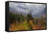 Autumn Wonderland at White Mountain, New Hampshire-Vincent James-Framed Stretched Canvas