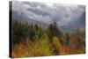 Autumn Wonderland at White Mountain, New Hampshire-Vincent James-Stretched Canvas