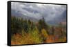 Autumn Wonderland at White Mountain, New Hampshire-Vincent James-Framed Stretched Canvas