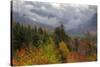 Autumn Wonderland at White Mountain, New Hampshire-Vincent James-Stretched Canvas