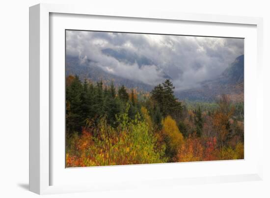 Autumn Wonderland at White Mountain, New Hampshire-Vincent James-Framed Photographic Print