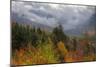 Autumn Wonderland at White Mountain, New Hampshire-Vincent James-Mounted Photographic Print