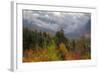 Autumn Wonderland at White Mountain, New Hampshire-Vincent James-Framed Photographic Print