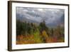 Autumn Wonderland at White Mountain, New Hampshire-Vincent James-Framed Photographic Print