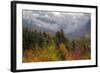 Autumn Wonderland at White Mountain, New Hampshire-Vincent James-Framed Photographic Print