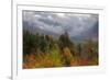 Autumn Wonderland at White Mountain, New Hampshire-Vincent James-Framed Photographic Print